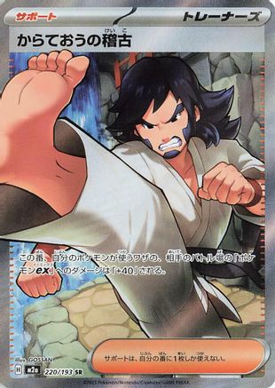 Black Belt's Training (220/193) [M2A MEGA Dream ex] NM [JP]